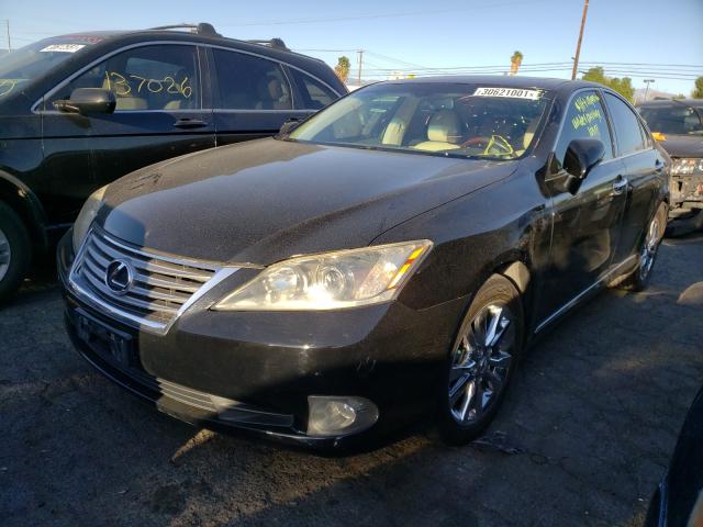 2010 LEXUS ES 350 JTHBK1EG9A2359561