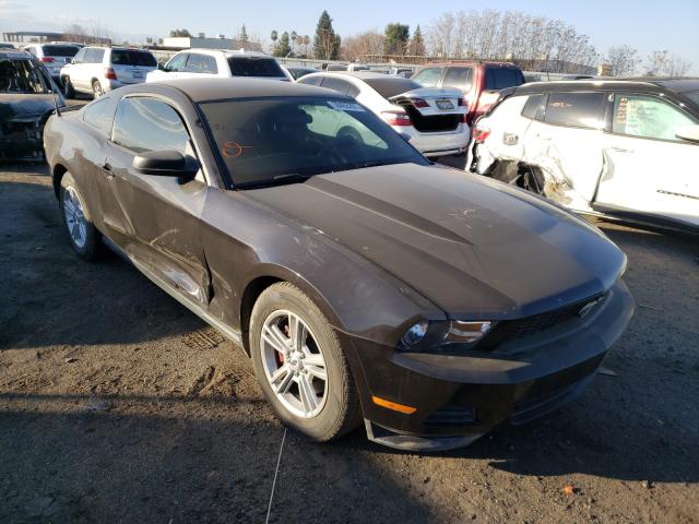 2012 FORD MUSTANG - 1ZVBP8AM2C5221964