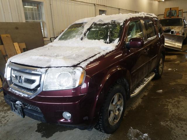 2011 HONDA PILOT EXL 5FNYF4H59BB056645