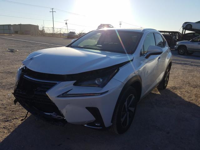 2019 LEXUS NX 300H JTJBJRBZ0K2106152