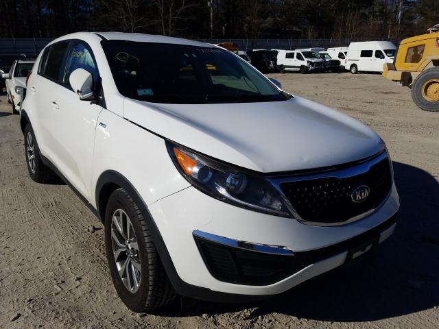 KNDPBCAC4E7552134 KIA SPORTAGE Photo 1