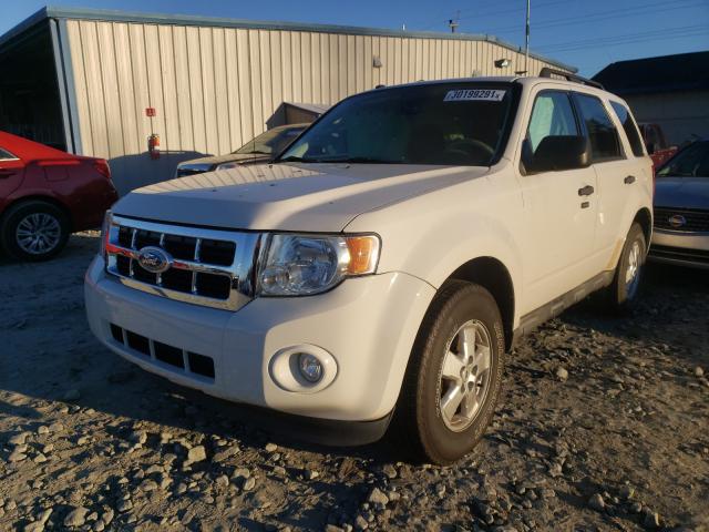 2010 FORD ESCAPE 1FMCU9D71AKC03901