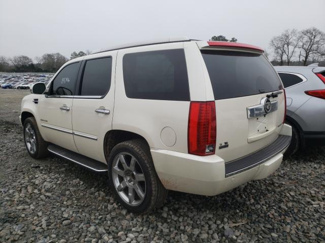 2010 CADILLAC ESCALADE 1GYUCAEF4AR268715