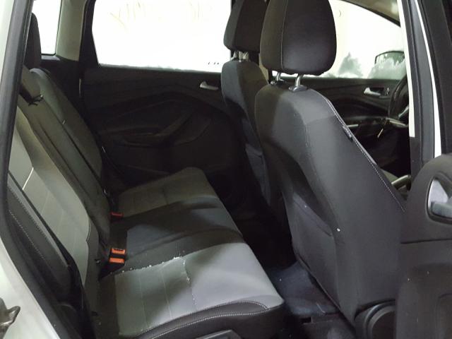 2013 FORD C-MAX SE 1FADP5AU8DL556482