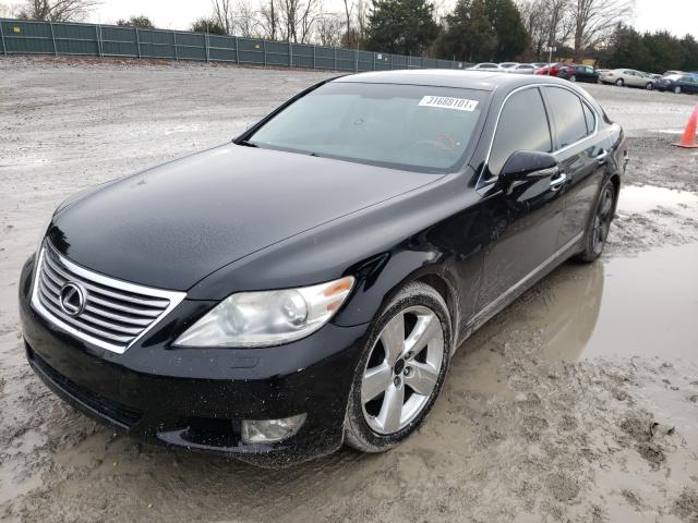 2010 LEXUS LS 460 JTHBL5EF0A5100211