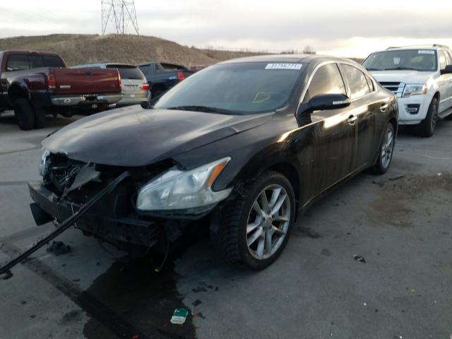2010 NISSAN MAXIMA 1N4AA5AP4AC803832
