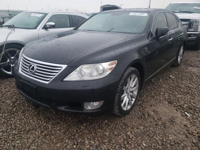 2010 LEXUS LS 460 JTHCL5EF8A5005593