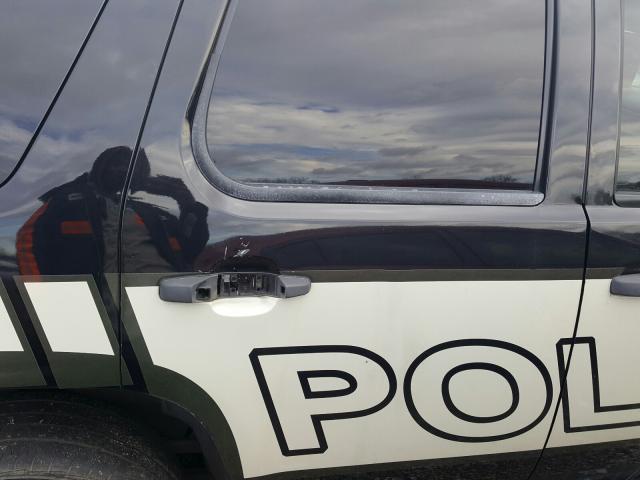 2014 CHEVROLET TAHOE POLI 1GNLC2E04ER206652