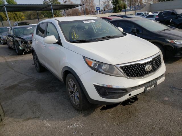 KNDPB3AC8G7831217 KIA SPORTAGE Photo 1