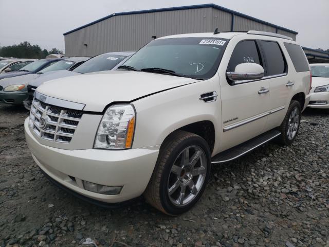 2010 CADILLAC ESCALADE 1GYUCAEF4AR268715