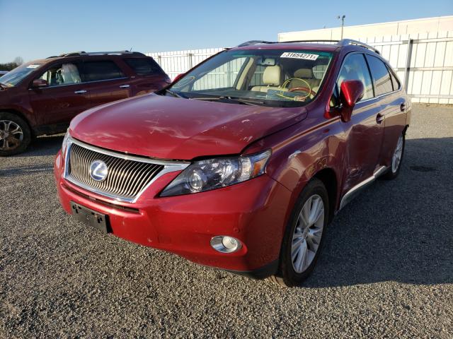 2012 LEXUS RX 450 JTJBC1BA2C2425169