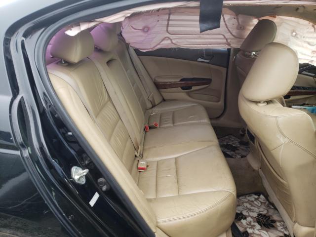 2010 HONDA ACCORD EXL - 1HGCP2F83AA099508