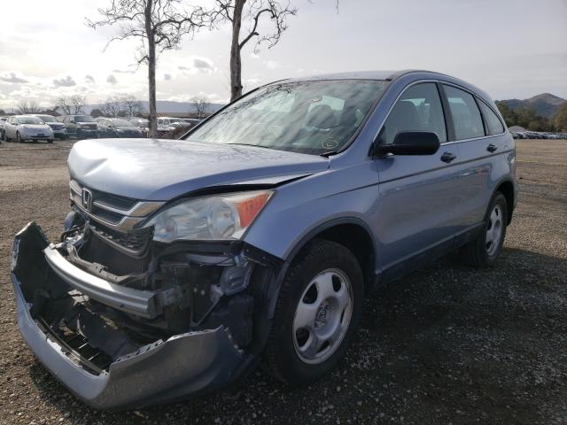 2010 HONDA CR-V LX - 5J6RE3H35AL026161