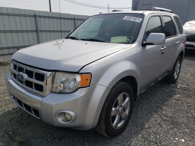2011 FORD ESCAPE 1FMCU0EG2BKA25444