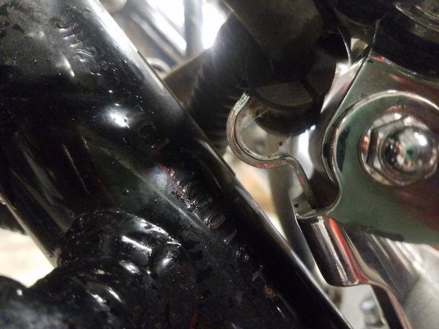 2010 HONDA VT1300 CS JH2SC6701AK001518