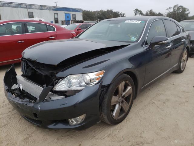 2010 LEXUS LS 460 JTHBL5EF0A5094023
