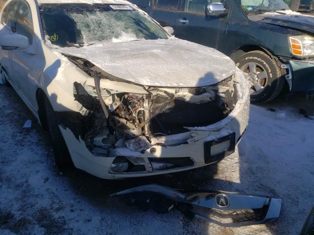 2010 ACURA TL 19UUA9F53AA001890