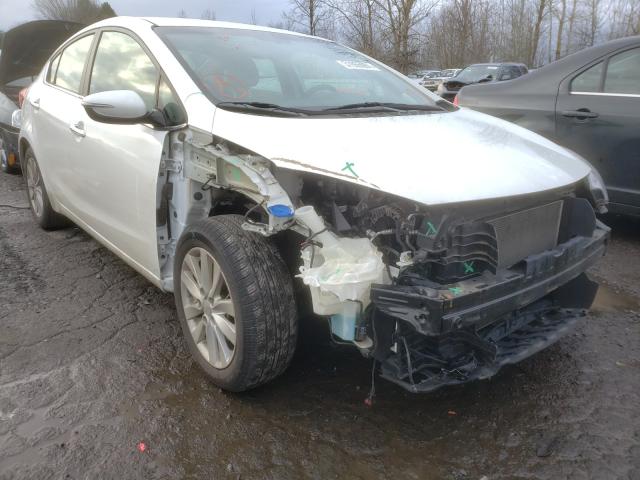2014 KIA FORTE EX - KNAFX4A80E5120423