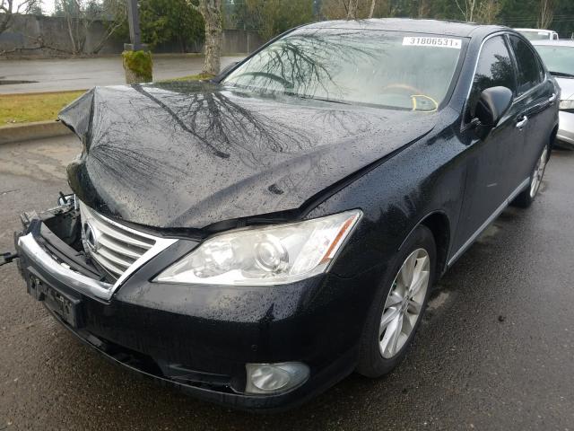 2011 LEXUS ES 350 JTHBK1EGXB2435225