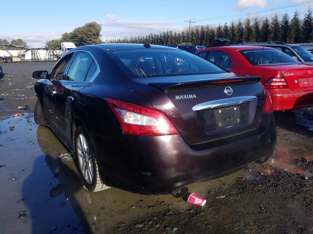 2010 NISSAN MAXIMA 1N4AA5AP6AC813326