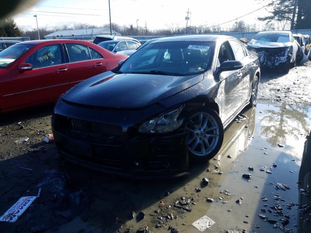 2010 NISSAN MAXIMA 1N4AA5AP6AC813326