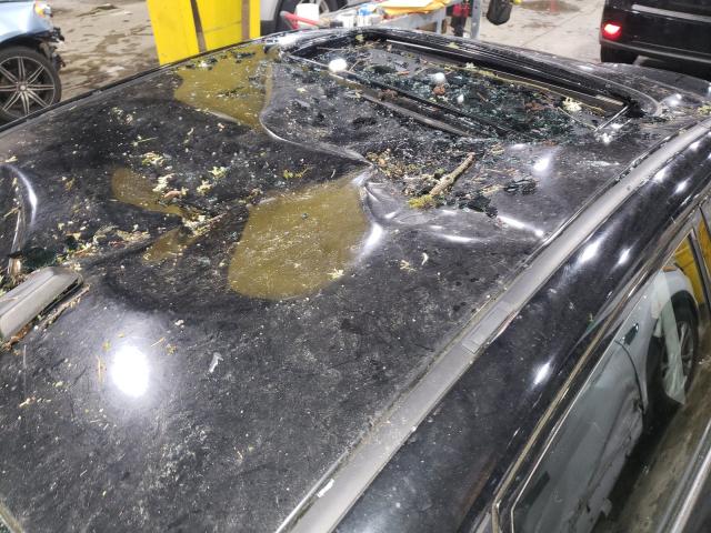 2010 SUBARU IMPREZA WR JF1GE7G65AG514329