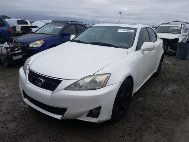 2011 LEXUS IS 250 JTHBF5C2XB5136299