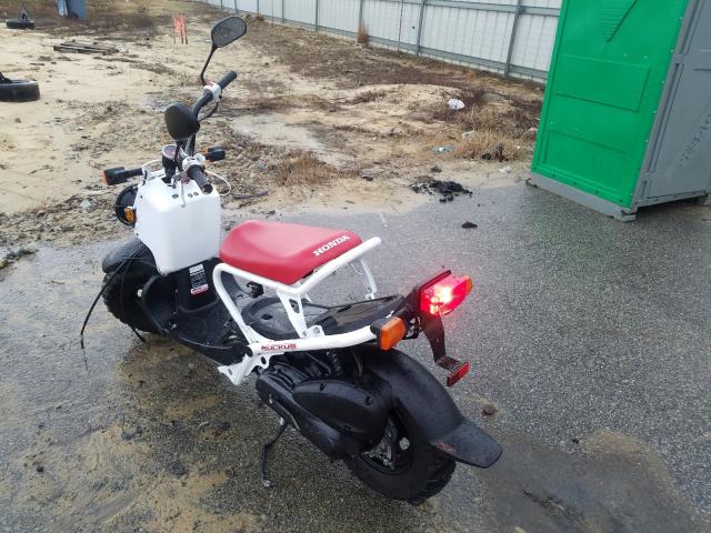 2019 HONDA NPS50 JH2AF5812KK704518