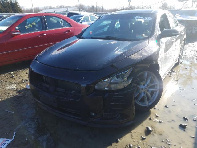 2010 NISSAN MAXIMA 1N4AA5AP6AC813326