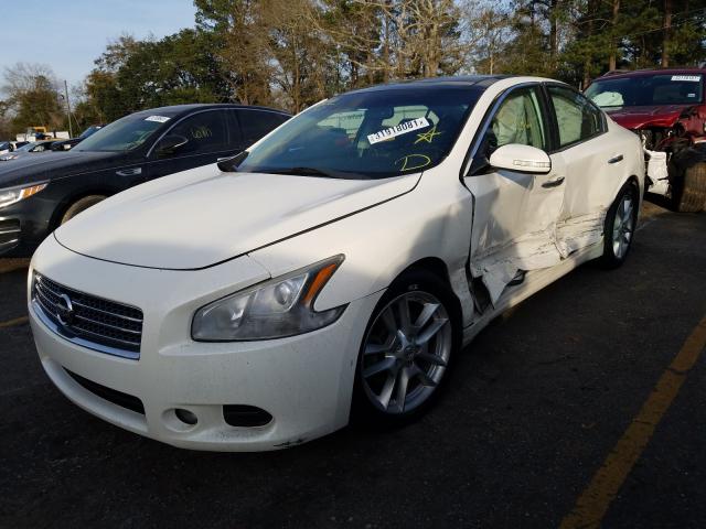 2010 NISSAN MAXIMA 1N4AA5AP7AC864947