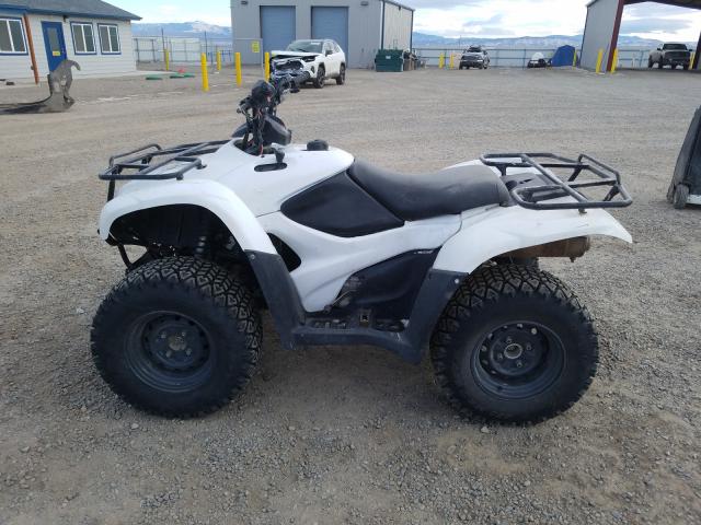 2009 HONDA TRX420 FM 1HFTE350694201969