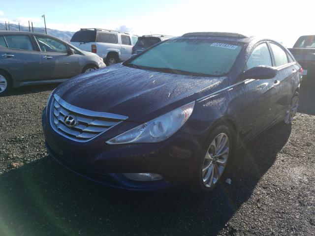 2011 HYUNDAI SONATA SE 5NPEC4AC6BH195699