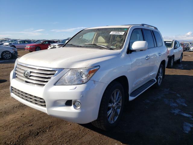 2011 LEXUS LX 570 JTJHY7AX0B4081963