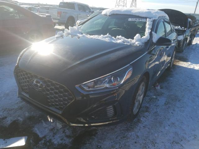2019 HYUNDAI SONATA LIM 5NPE34AF9KH781954