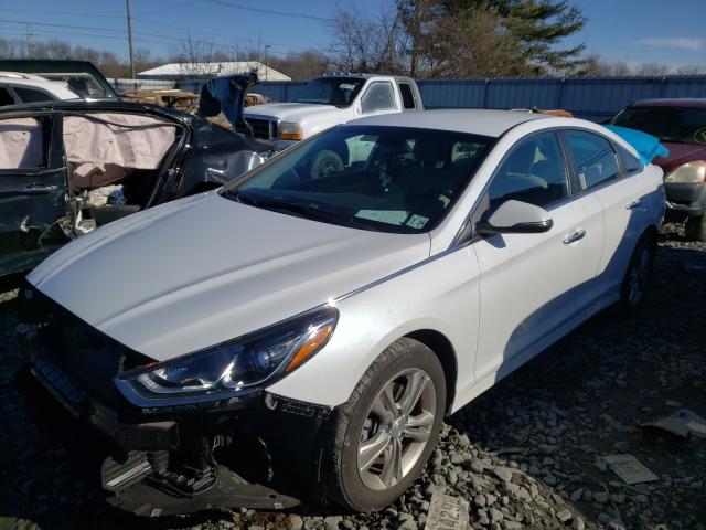 2019 HYUNDAI SONATA LIM 5NPE34AF3KH778712