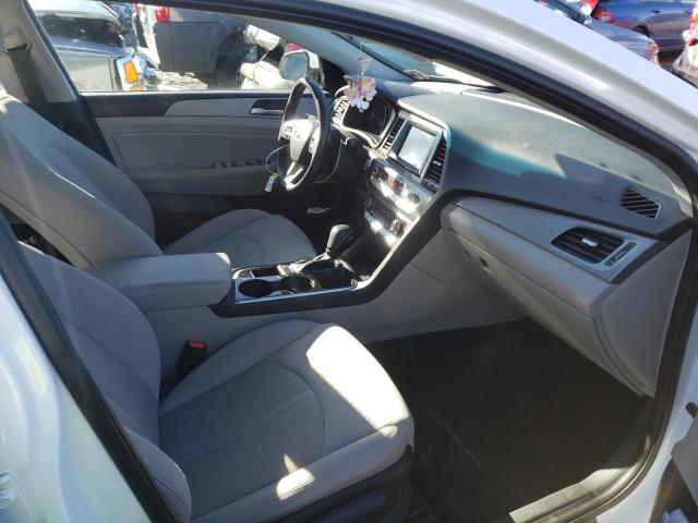 2019 HYUNDAI SONATA LIM 5NPE34AF3KH778712
