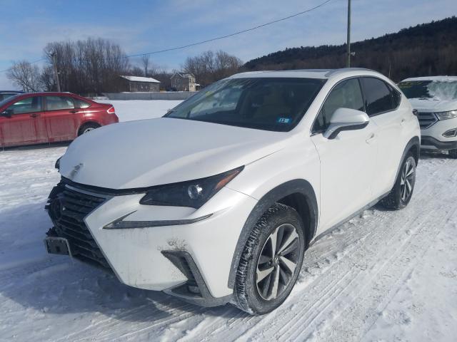 2018 LEXUS NX 300 BAS JTJBARBZXJ2170391