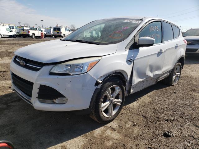 2013 FORD ESCAPE 1FMCU0GX7DUA30398