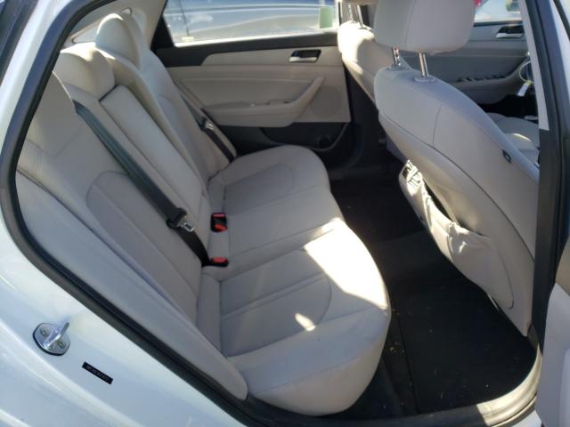 2019 HYUNDAI SONATA LIM 5NPE34AF3KH778712