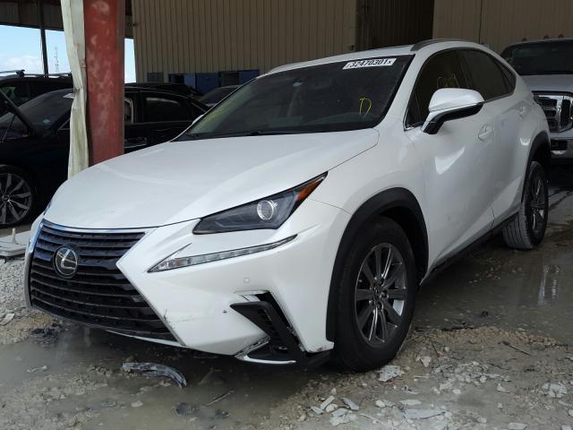 2019 LEXUS NX 300 BAS JTJYARBZ2K2157307