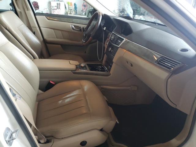 2010 MERCEDES-BENZ E 550 WDDHF7CB7AA212838