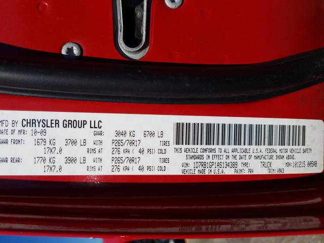 2010 DODGE RAM 1500 1D7RB1GP1AS134389