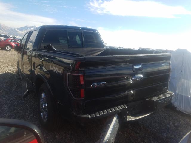 2010 FORD F-150 1FTFW1EV6AFB10648