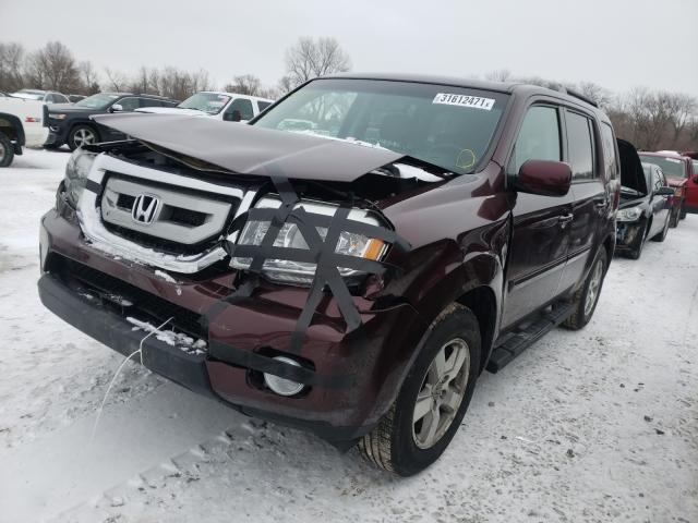 2011 HONDA PILOT EXL 5FNYF4H5XBB078900