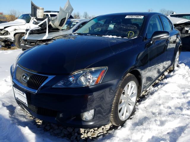 2010 LEXUS IS 250 JTHCF5C29A5042630