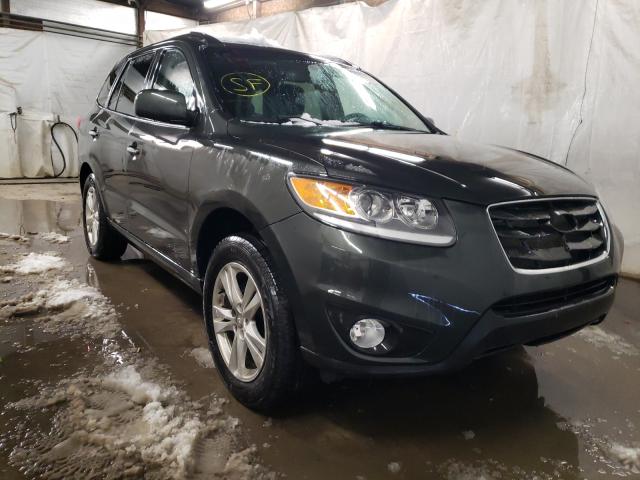 2011 HYUNDAI SANTA FE L 5XYZKDAG1BG091264
