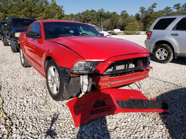 2013 FORD MUSTANG 1ZVBP8AM2D5282023