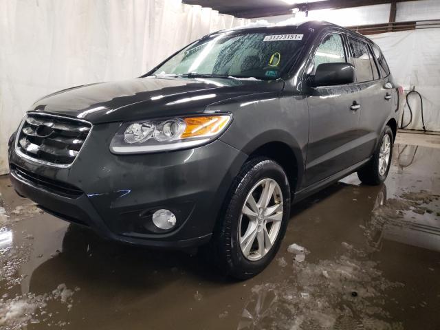 2011 HYUNDAI SANTA FE L 5XYZKDAG1BG091264