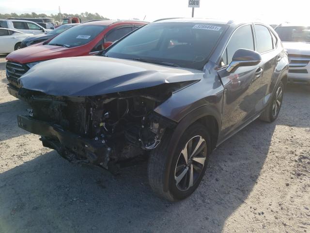 2018 LEXUS NX 300 BAS JTJYARBZ0J2088888