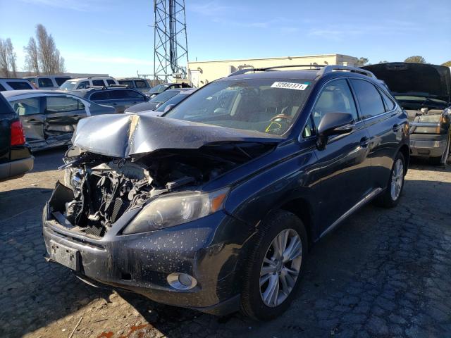 2010 LEXUS RX 450 JTJBC1BA1A2401121